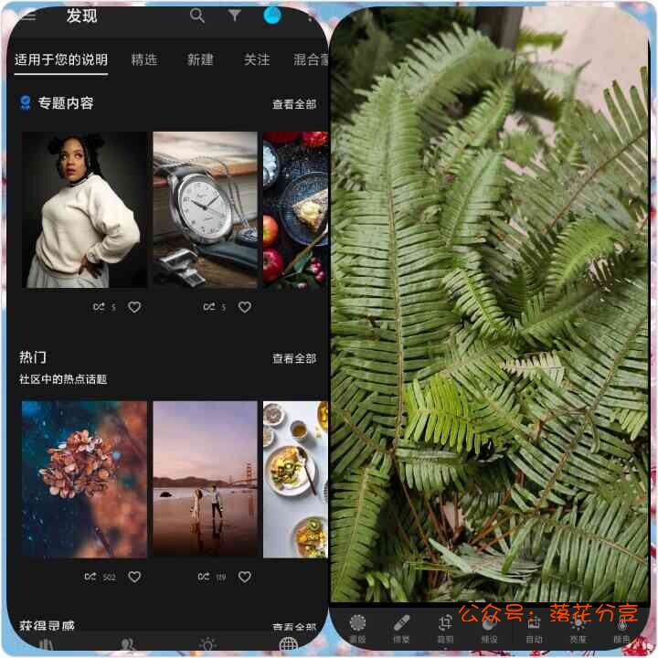 PhotoGrid_Site_1677175699705.webp